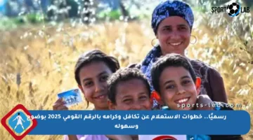 رسميًا.. خطوات الاستعلام عن تكافل وكرامة بالرقم القومي 2025 بوضوح وسهولة